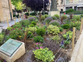Parterre San Juan de Sahagun 1