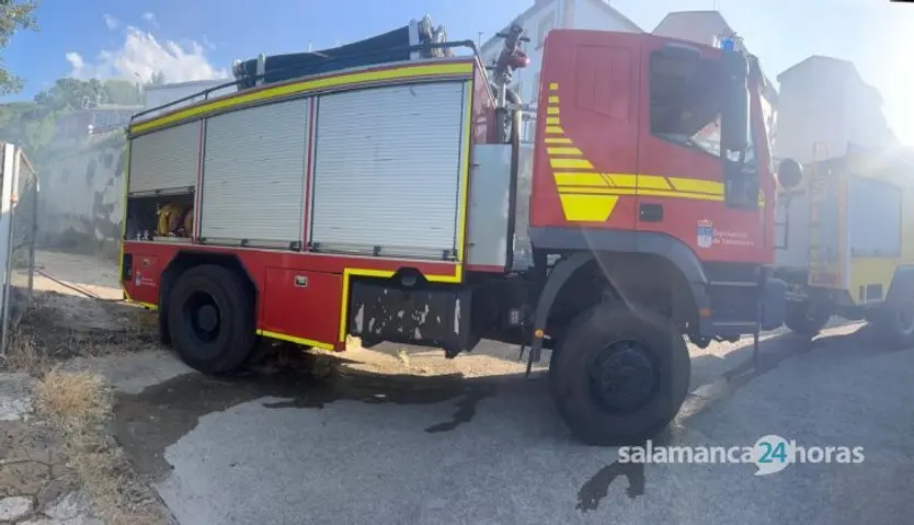 Incendio forestal en la Isla de la Aliseda en Béjar