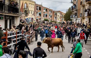 Gran expectación con el Toro de San Sebastián de Ciudad Rodrigo | Vicente (Ical)
