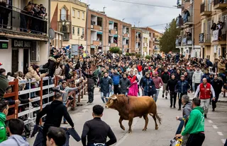 Gran expectación con el Toro de San Sebastián de Ciudad Rodrigo | Vicente (Ical)