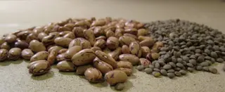 Legumbres, Lentejas Y Alubias
