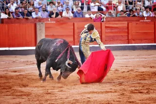 Tomás Rufo al natural en el tercer toro. Foto Andrea M.