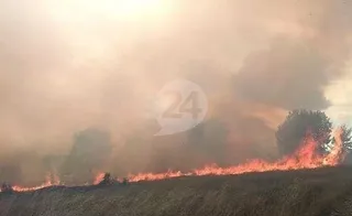 Otro incendio calcina doce hectáreas de superficie agrícola en Narros de Matalayegua