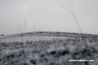 Salamanca nieve 5