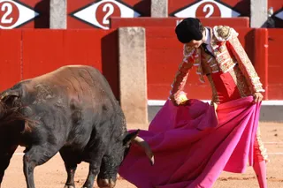 Primero de Antonio Grande