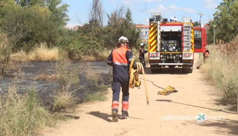 Incendio en la zona de Tejares (11)