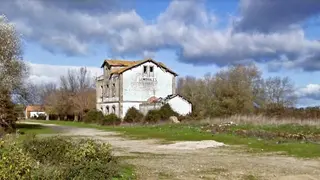 Lumbrales
