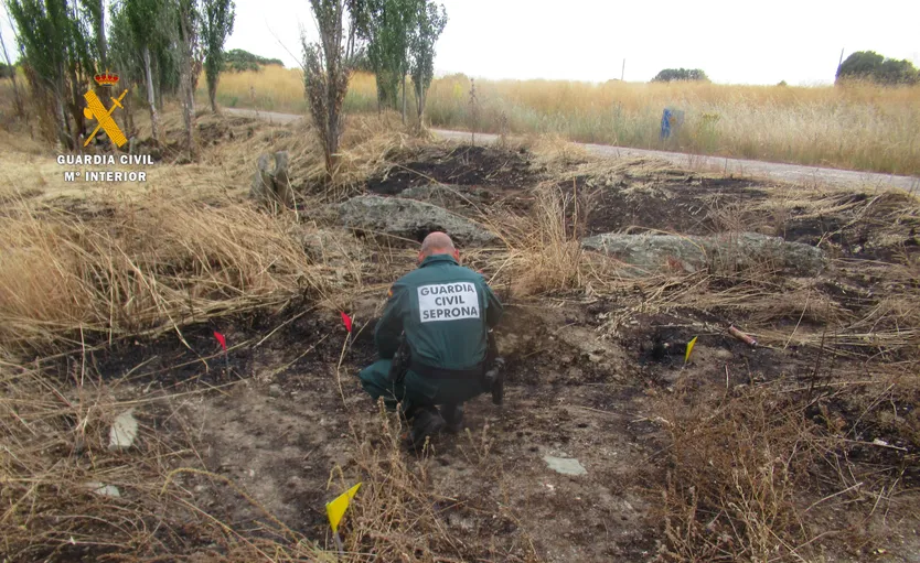 Guardia Civil del SEPRONA investigando un incendio. Archivo.