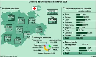 Gerencia de Emergencias Sanitarias 2025 (15cmx9cm) | FS