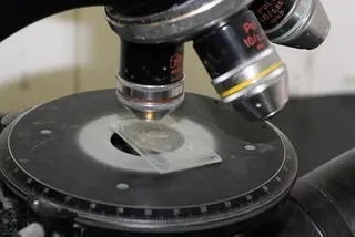 Investigación científica. Archivo