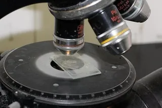 Investigación científica. Archivo