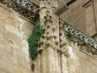 Catedral Nueva de Salamanca. Foto: Ciudadanos por la Defensa del Patrimonio