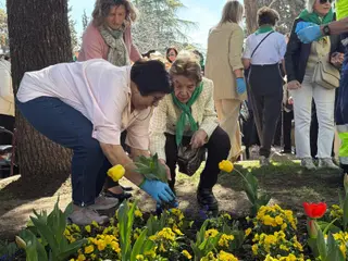 Plantación de tulipanes por el día del Parkinson