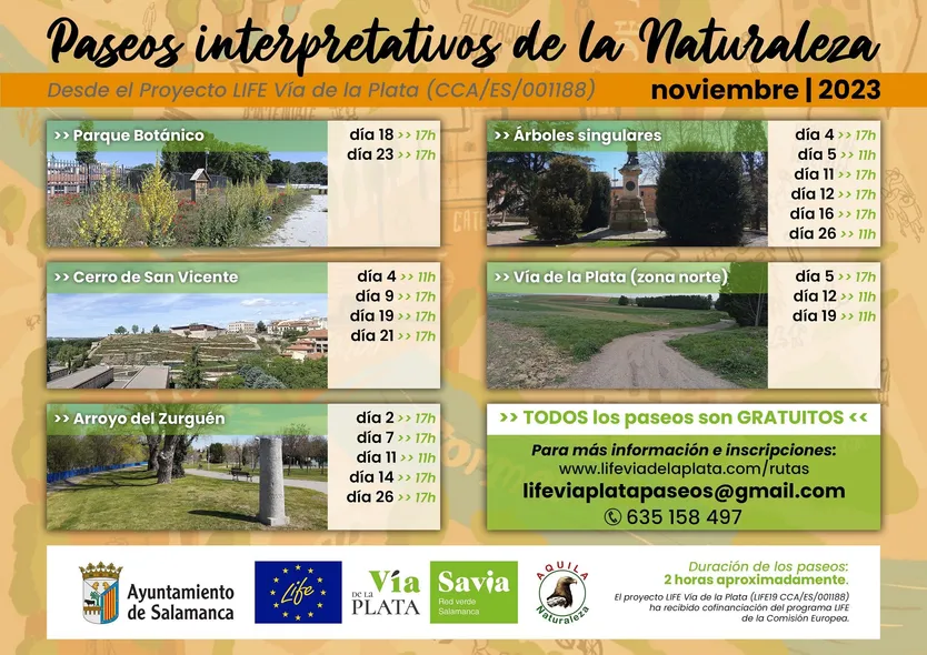 Cartel paseos Noviembre