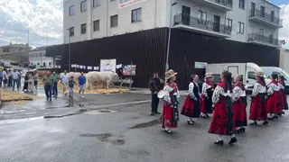 XV Feria Ganadera de San Antonio de Alba de Tormes - Ayuntamiento de Alba de Tormes