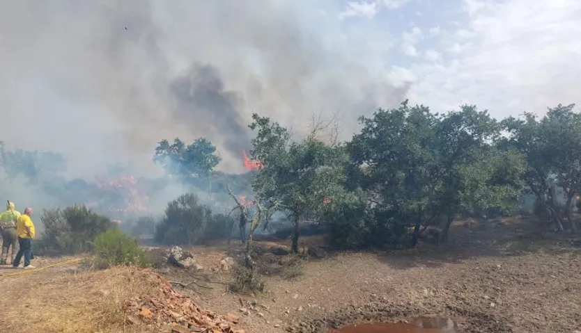Alarma en la zona de la Presa de Almendra por un aparatoso incendio