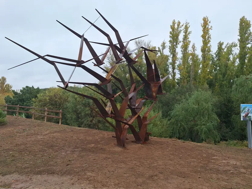 Aves, nueva escultura de la ruta de arte emboscado en Santa Marta4