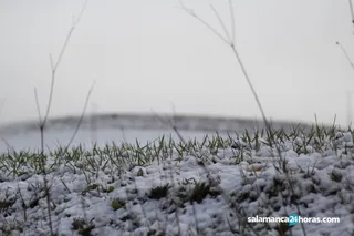 Salamanca nieve 6