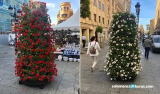 Jardineras