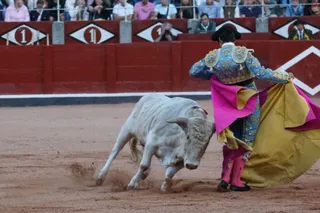 Clase práctica con alumnos de la Escuela de Tauromaquia de Salamanca | ARCHIVO