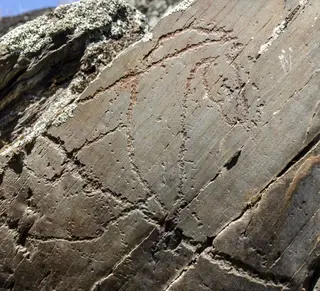 Siega Verde, arte rupestre del Paleolítico. Foto de archivo