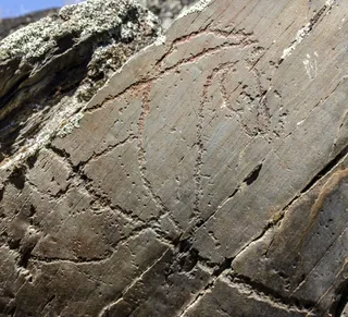 Siega Verde, arte rupestre del Paleolítico. Foto de archivo