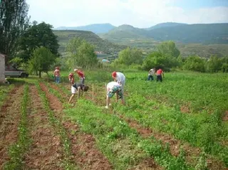 Luz verde a la suscripción de un Convenio para la ejecución de los planes de seguros agrarios combinados