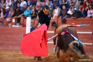 Corrida sábado Carnaval del Toro 2020 (84)