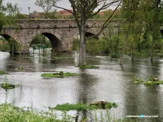 Río. Foto de archivo