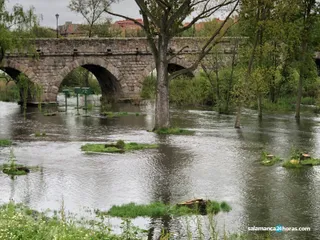 Río. Foto de archivo