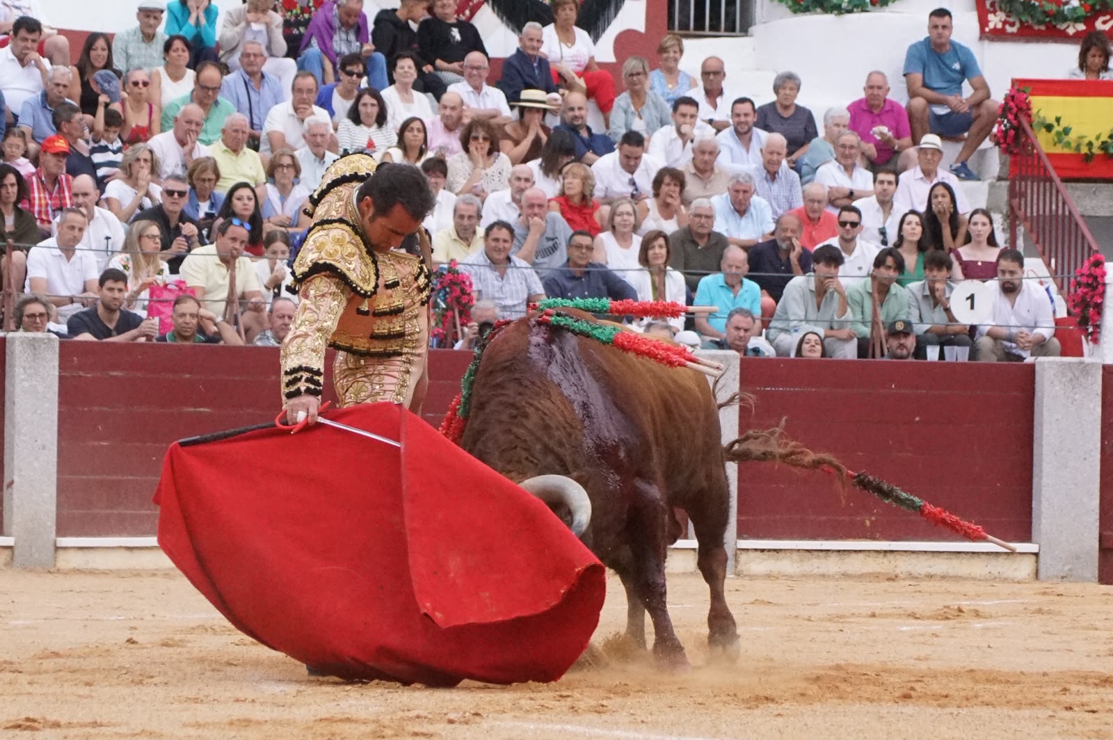 El Fandi con un toro de El Pilar en Guijuelo | Juanes