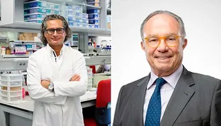 Juan Pedro Bolaños, investigador del IBFG (USAL-CSIC), junto a Pierre Magistretti, publican un artículo en ‘Nature Metabolism’ sobre la unidad metabólica neurona-astrocito