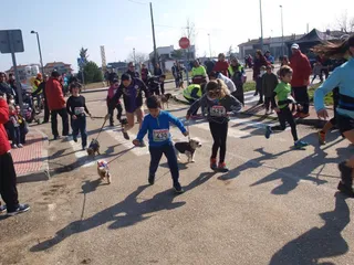Vuelve la liga de Canicross de Salamanca