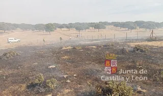 Incendio que afecta a una parcela próxima a Villalba de los Llanos | INFOCAL