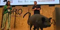 El V Foro del Ibérico de Salamanca llega a su fin con varias demos de cocina y Extremadura y Mallorca como protagonistas. V Foro del Ibérico