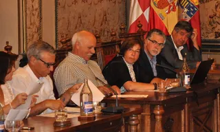 Psoe Salina Pleno
