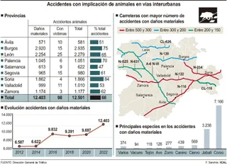 Accidentes con implicación de animales en carreteras de CYL / ICAL
