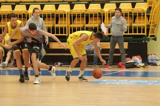 Copa feria de baloncesto