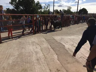 Segundo encierro taurino en Pereña de la Ribera