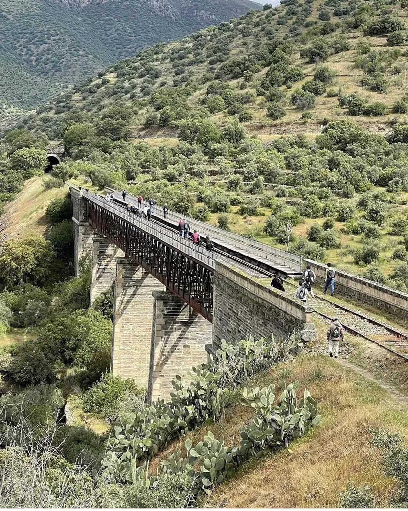Camino de Hierro