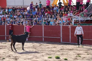 Capea y recortes en Villares