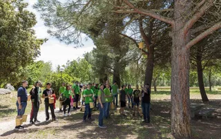 2018 06 02. Voluntariado CyL, colocación cajas nido