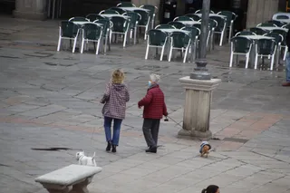 Gente paseando con sus perros por la Plaza Mayor de Salamanca