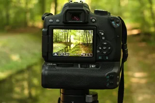 Fotografía naturaleza