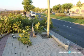 Accidente Reina Berenguela (19)