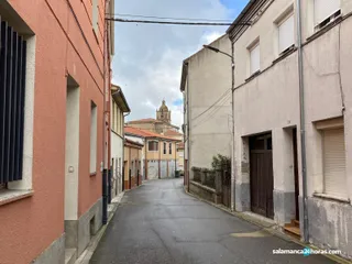 Lumbrales (5)