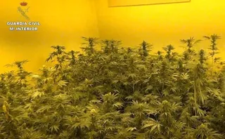 Cuatro condenados a un año de prisión por dos delitos de tráfico de drogas en la provincia