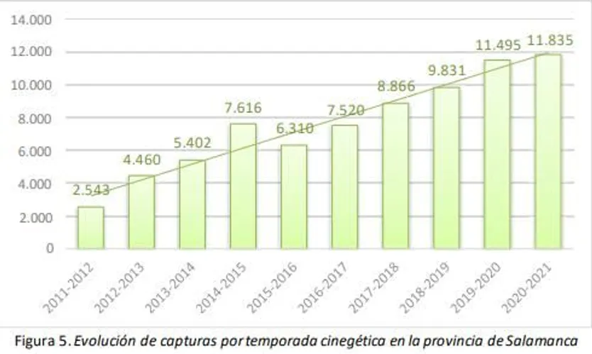 Sin título