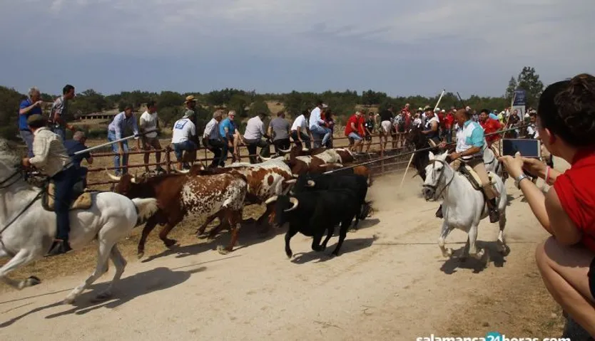Imagen de archivo de un encierro a caballo en Lumbrales