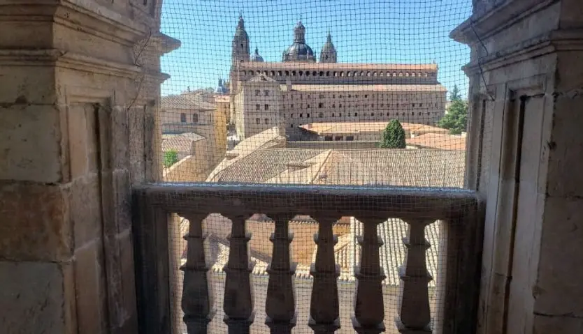 vista torreón